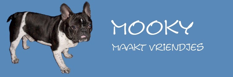 Mooky's honden vrienden