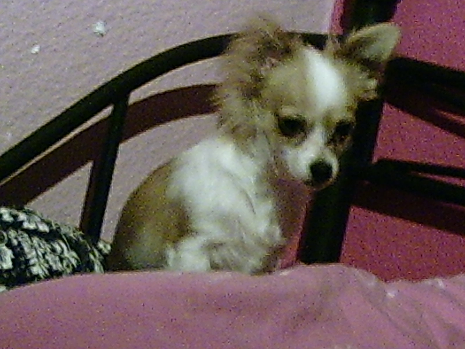 Sweety ze plekje !